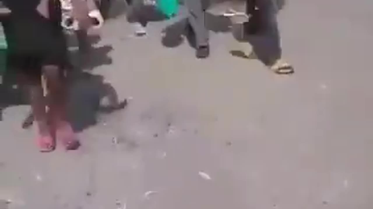 Thousands of Christians are forced to flee Congo as Islamist groups commit nonstop massacres.