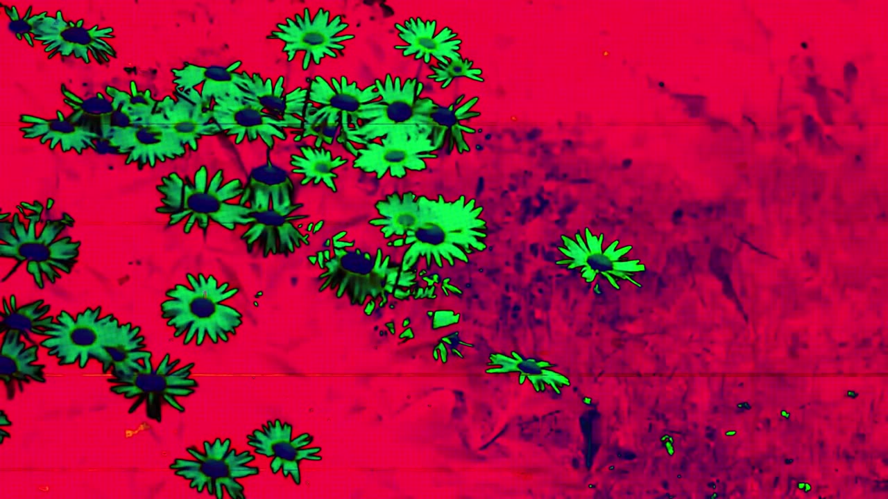 To C.F. (short poem)