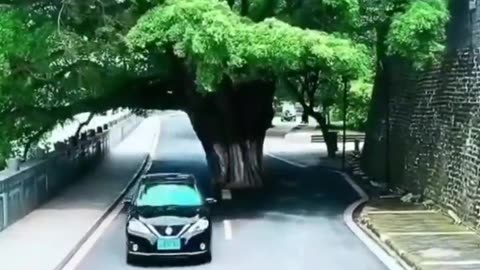 Tms Legend & Thiravida Selvan Vol 277