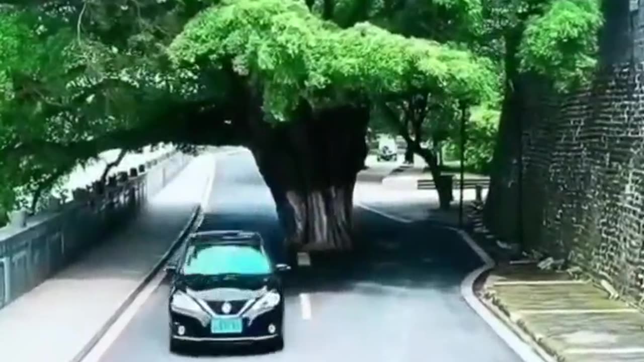 Tms Legend & Thiravida Selvan Vol 277