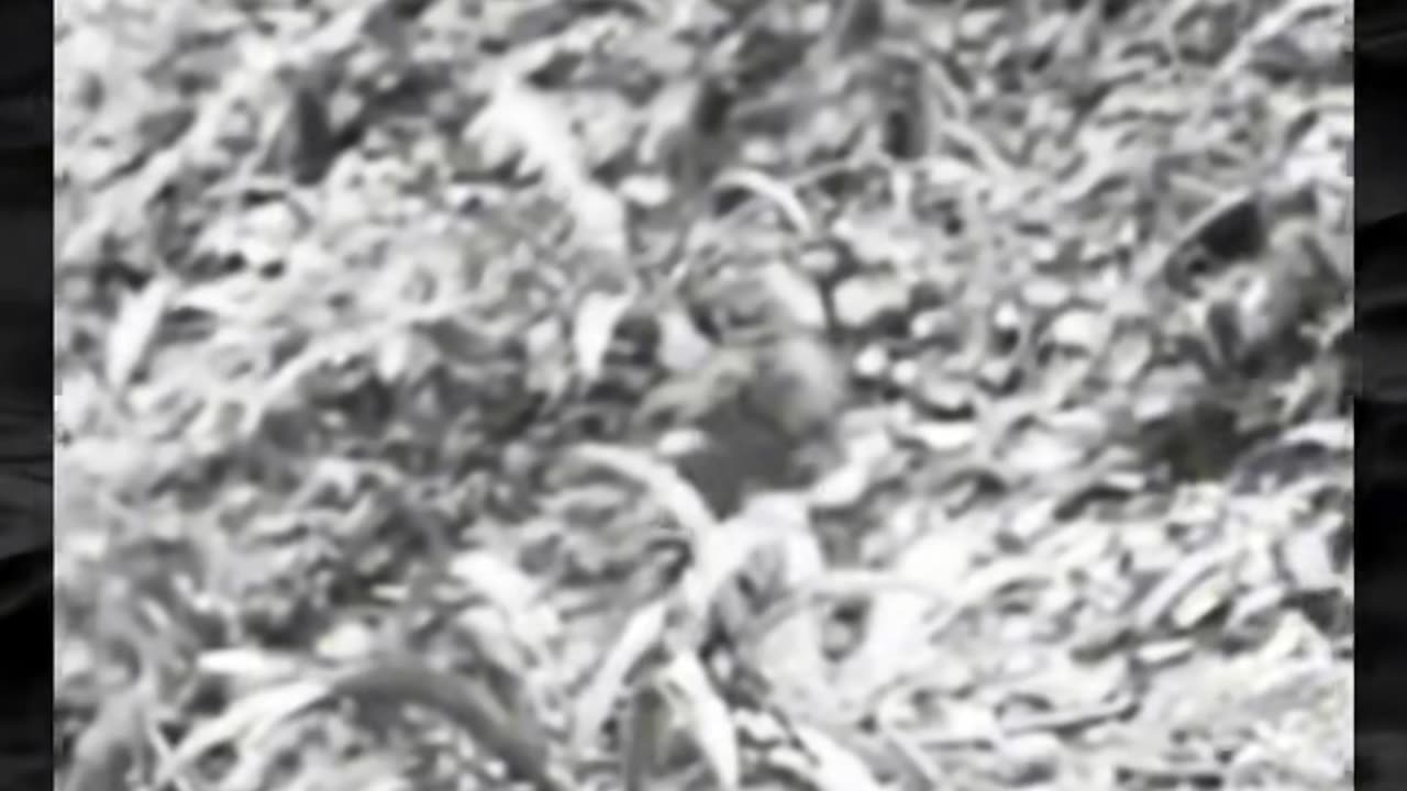 😧👹 Paranormal Activity You Can't Explain! | TheHauntingHour