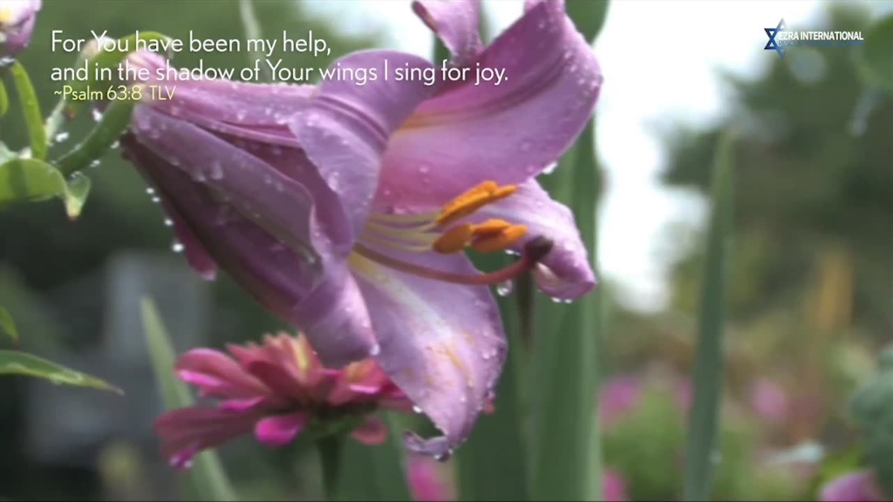 Ezra International Global TV Network