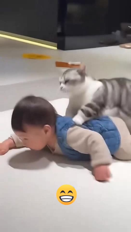 More Funny and Weird Animals😂😂😁♥️