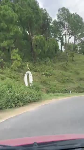 Dil ki rasta...apni life 💕💕 apni rules..💕💕