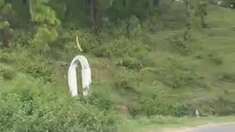 Dil ki rasta...apni life 💕💕 apni rules..💕💕