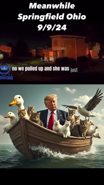 They are eating the dogs and cats!