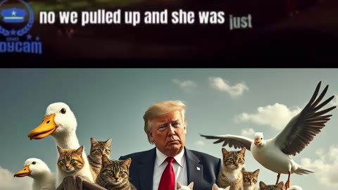 They are eating the dogs and cats!