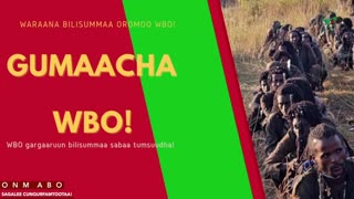 Gabaasa Gumaacha ONM-ABO Onkoloolessa 29-2025 itti dhiyaadhaa!