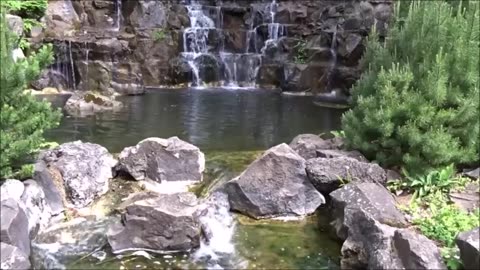 8 Hz Binaural Beats w/ Nature Sounds - Schumann Resonance to Activate Your Pineal Gland