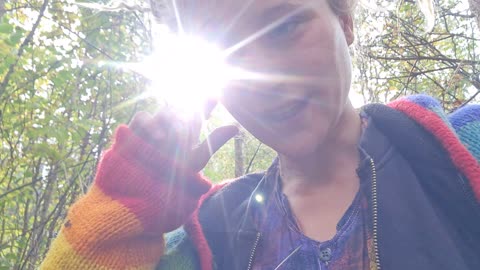 🍄 First Amanita Muscaria (Flyagaric) mushrooms