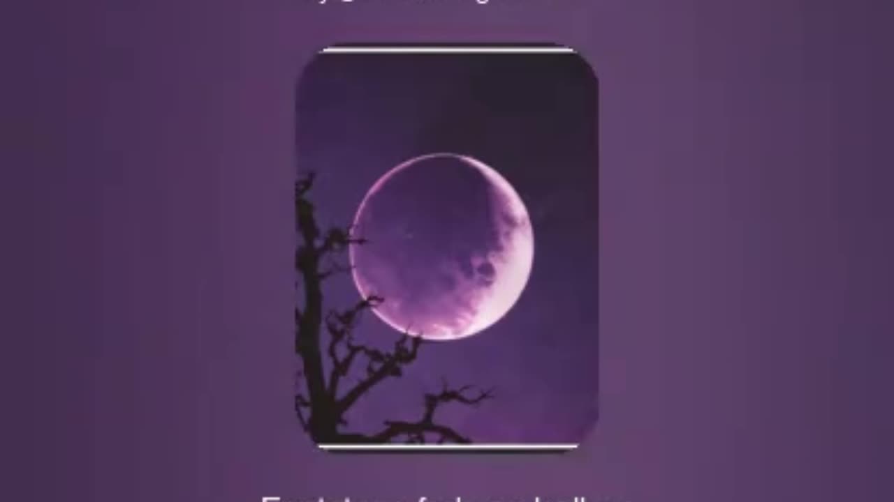 Spellbound Night V2