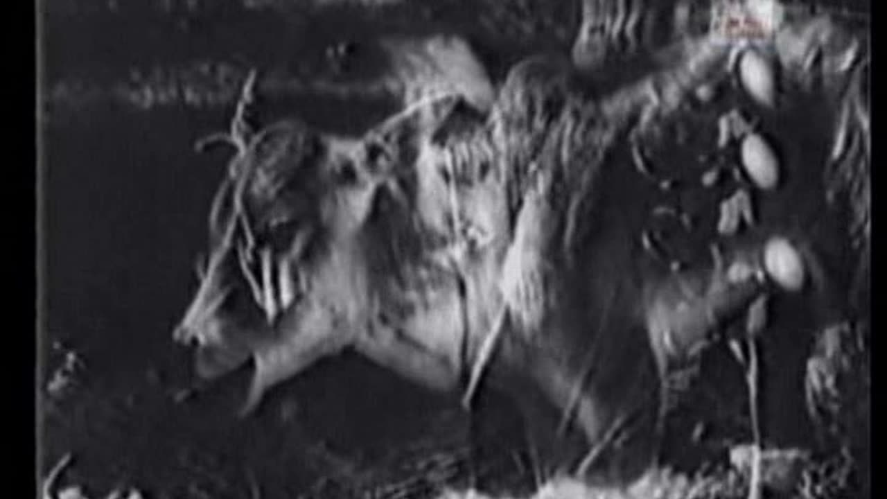 vadivuku valaigappu 1