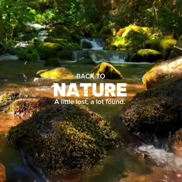 Beautiful jungle view -beautiful nature