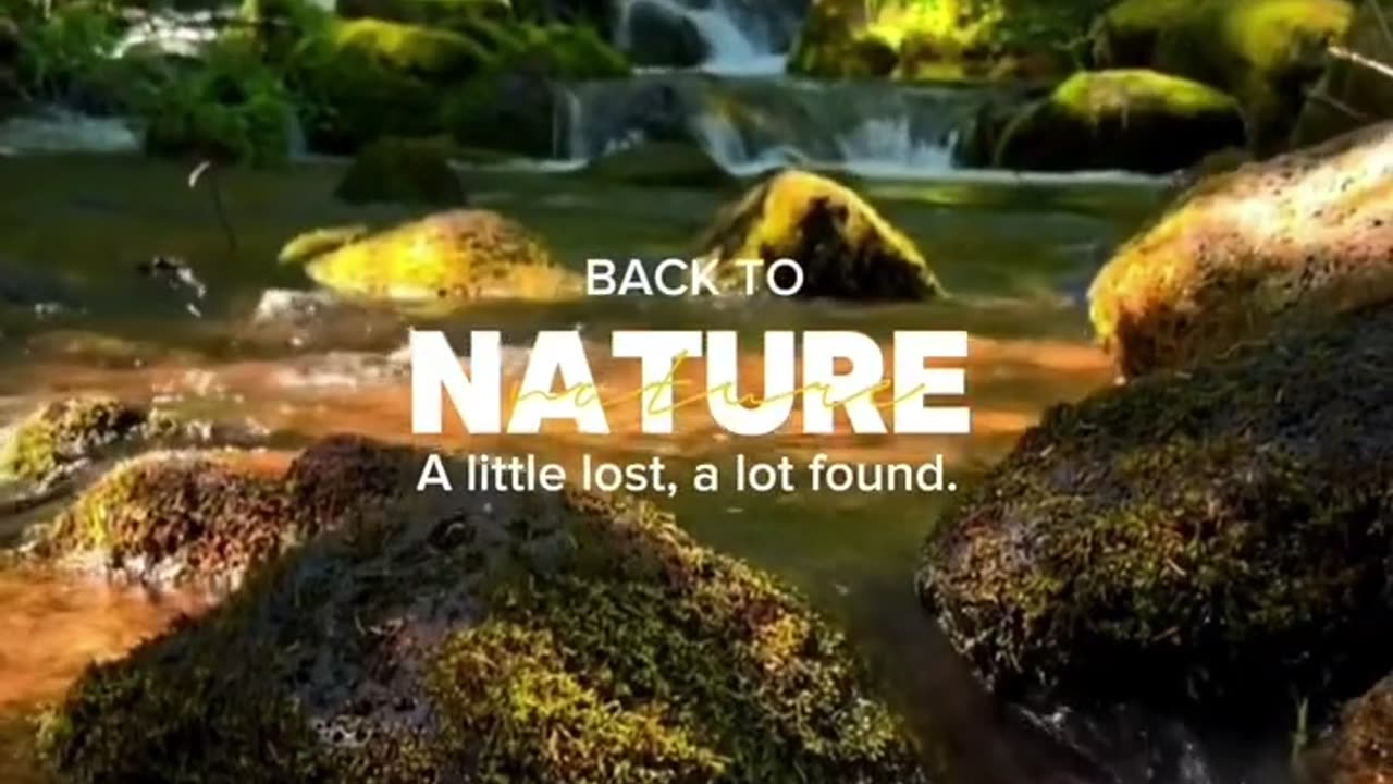 Beautiful jungle view -beautiful nature