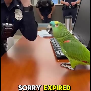 Sorry Expired 🤭🤣🤣🤣