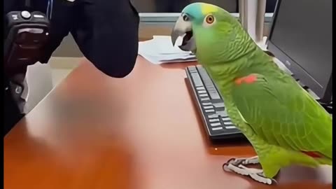 Sorry Expired 🤭🤣🤣🤣