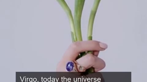 Daily Horoscope | Virgo 🌟