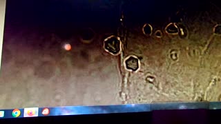 Time Release Death Injections 1/28/26: