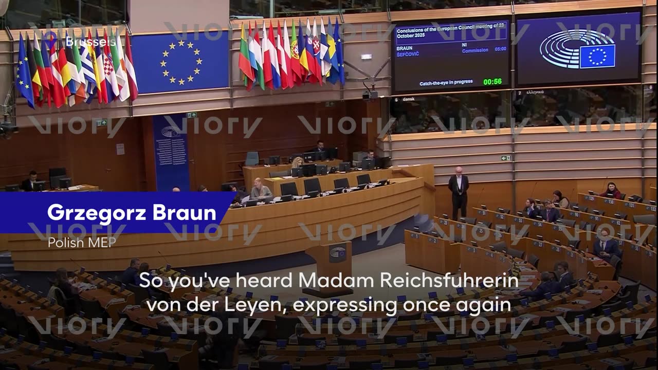 Polish MEP has mic cut for dubbing EU chief 'Reichsfuhrerin'