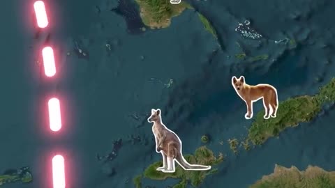 🤯✨ The Hidden Border Animals Avoid! | FeedMyCuriosity