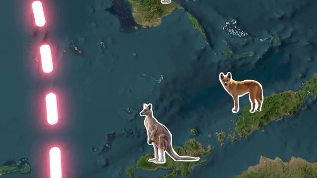 🤯✨ The Hidden Border Animals Avoid! | FeedMyCuriosity
