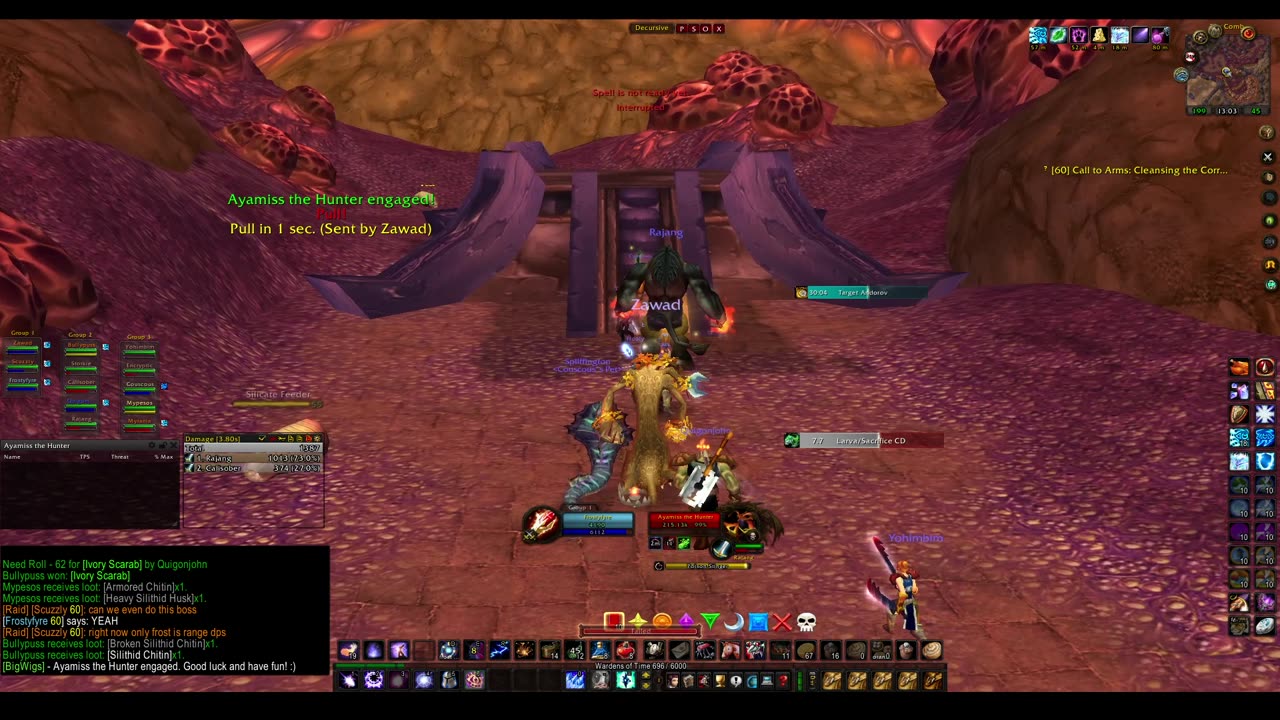 Turtle Wow - PUG AQ20 - Mage POV - no commentary