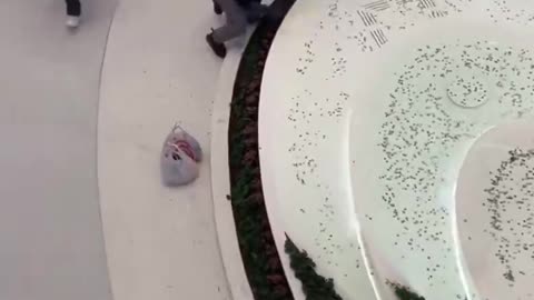 Somali immigrant in Minnesota mall caught stealing donation coins from fountain