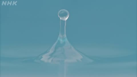 シリーズHidden Japan 流氷からの贈り物