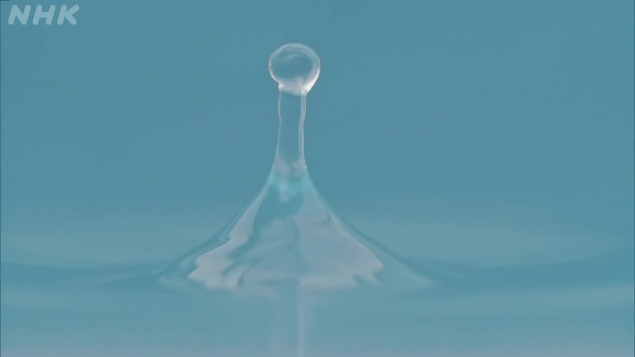 シリーズHidden Japan 流氷からの贈り物