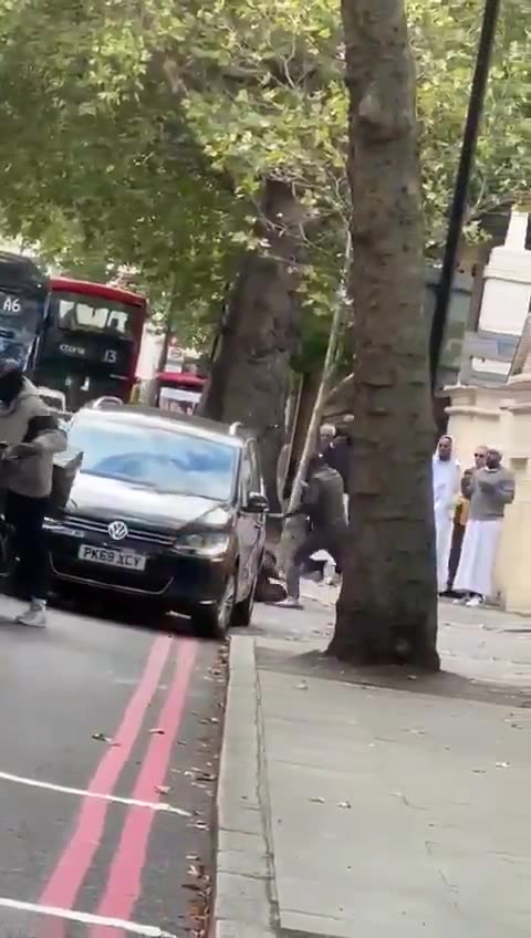 Pakistanis stabbing spree