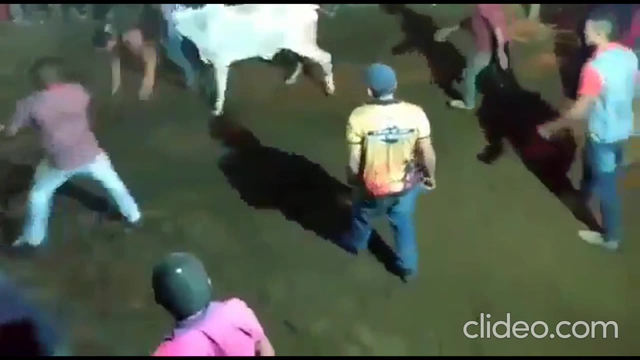 peleas callejeras que no te podes perder!!! Que caos