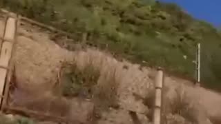 Russian Vacationers Hit the Deck, As Coastal Defenses Open Fire from Surrounding Area