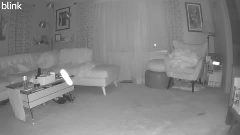 👻🤔 You Won't Believe What This Really Is! Orb or Bug? | TheHauntingHour