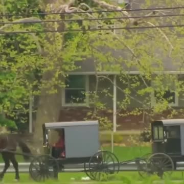 How the Amish preserve eggs for a long period of time.