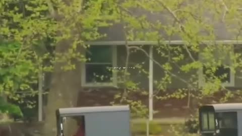 How the Amish preserve eggs for a long period of time.