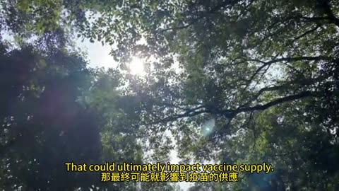 紅藍卡2026年 十大變革前瞻