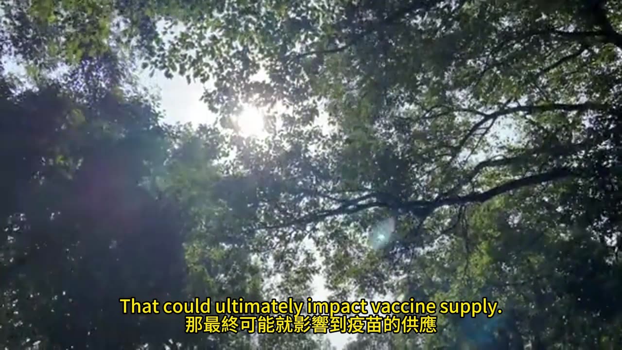 紅藍卡2026年 十大變革前瞻