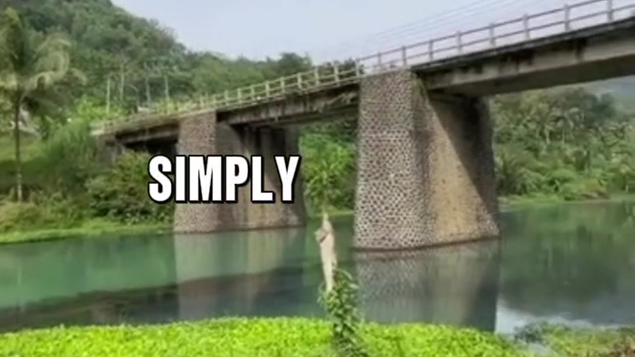 Perfect for emphasizing peace and natural beauty
