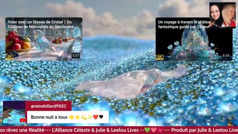 ApéroLiveLove & Dream avec Vous les Zzz'Amis 11/12