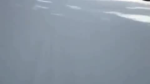 Extreme downhill snowboarding and dodging a wolf