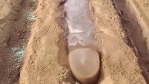 🤯✨ Wait For The Final Result... This Farmer Uses Plastic To Absorb Water Better! | FeedMyCuriosity