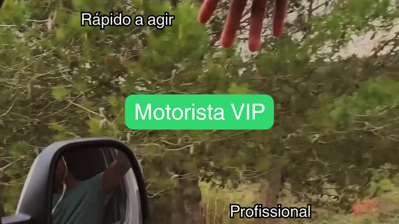 Motorista VIP