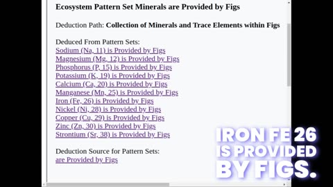 Ecosystem Pset Minerals are Provided by Figs - Pattern Deduction HI, Human Intelligence in AI