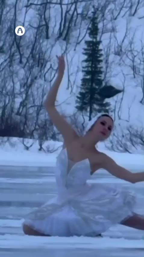 Ballerina of the frozen swan lake