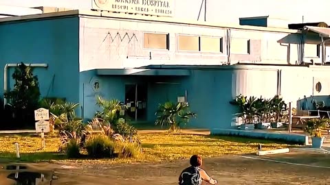 The boy found an injured dolphin #viralvideoシ #movieclips #hearttouching