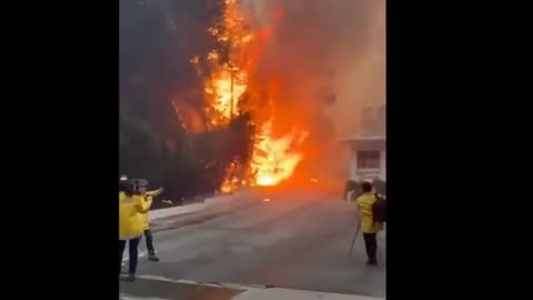 Fires sweep through Los Angeles