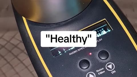 😨💨 Meet the 420 Friendly Spirit! | TheHauntingHour