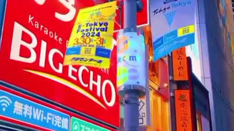 Japan night