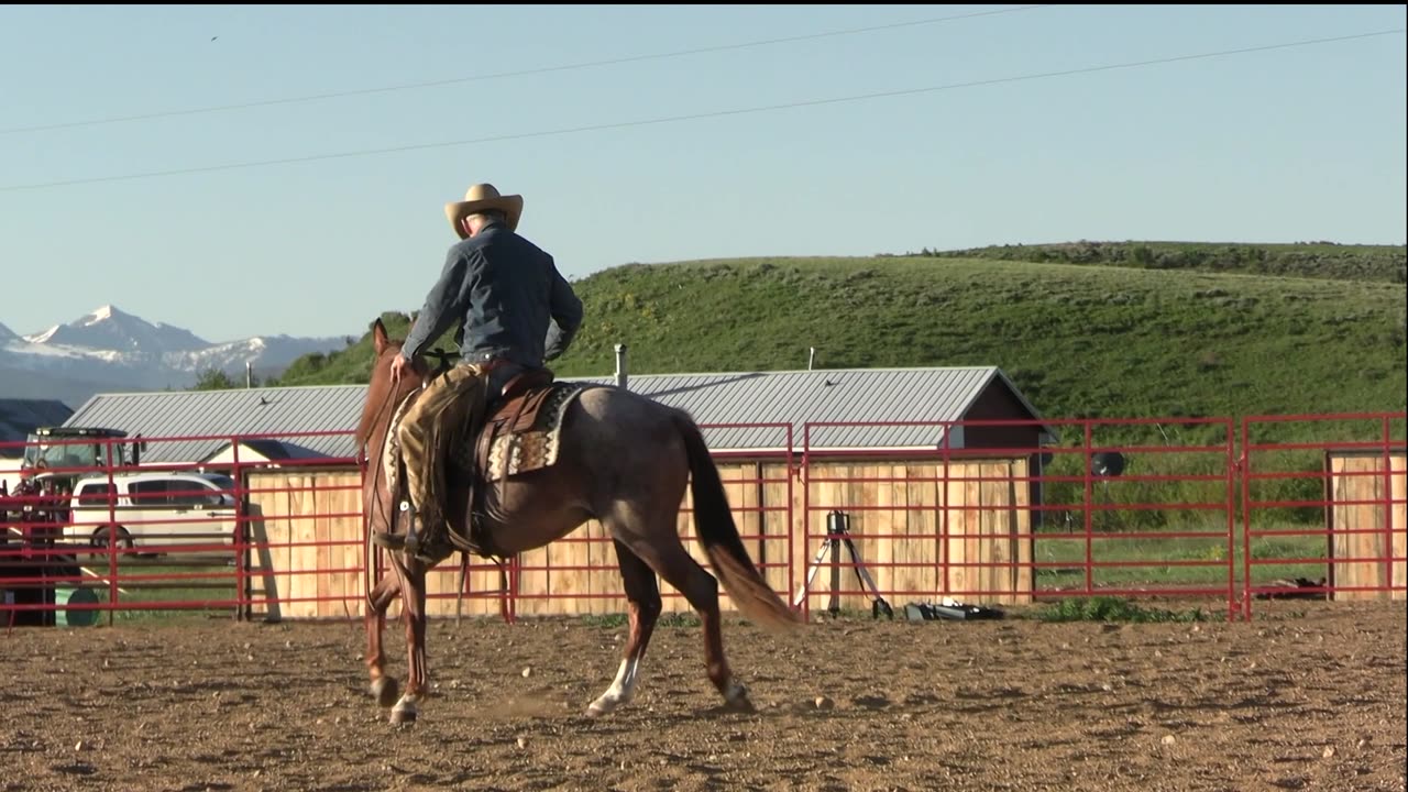 Epic Success in 20 Days Snaffle Bit Basics with Neches Day 16 Preview