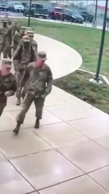 Canada Geese our national protection system 😂